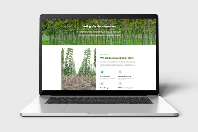 Website Design for Diyooagro Agro 1 Agriculture website